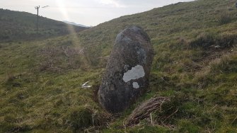 Digital photograph of panel in context without scale, from Scotland's Rock Art Project, Carr, Highland