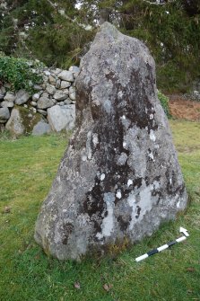 Digital photograph of panel in context with scale, Scotland's Rock Art Project, Culburnie, Highland