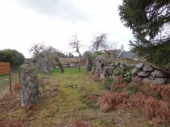 Digital photograph of rock art panel context, Scotland's Rock Art Project, Culburnie, Highland