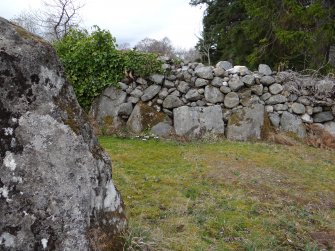 Digital photograph of rock art panel context, Scotland's Rock Art Project, Culburnie, Highland