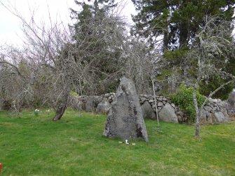 Digital photograph of rock art panel context, Scotland's Rock Art Project, Culburnie, Highland