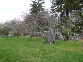 Digital photograph of rock art panel context, Scotland's Rock Art Project, Culburnie, Highland