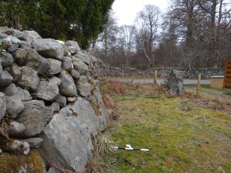 Digital photograph of rock art panel context, Scotland's Rock Art Project, Culburnie, Highland