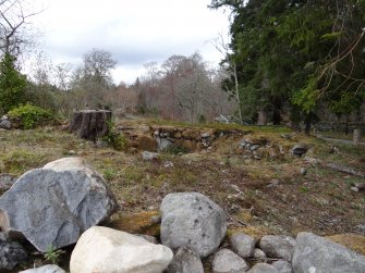 Digital photograph of rock art panel context, Scotland's Rock Art Project, Culburnie, Highland