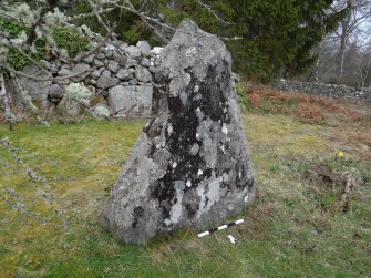 Digital photograph of rock art panel context, Scotland's Rock Art Project, Culburnie, Highland
