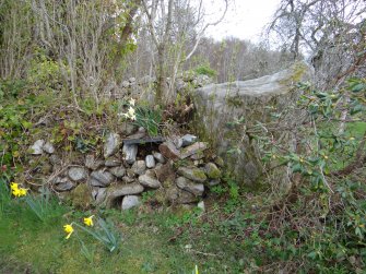 Digital photograph of rock art panel context, Scotland's Rock Art Project, Culburnie, Highland