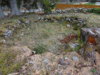 Digital photograph of rock art panel context, Scotland's Rock Art Project, Culburnie, Highland