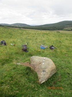 Digital photograph of rock art panel context, Scotland's Rock Art Project, Strath Sgitheach Balnacrae Lower, Highland