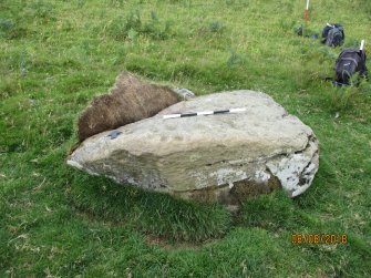 Digital photograph of rock art panel context, Scotland's Rock Art Project, Strath Sgitheach Balnacrae Lower, Highland