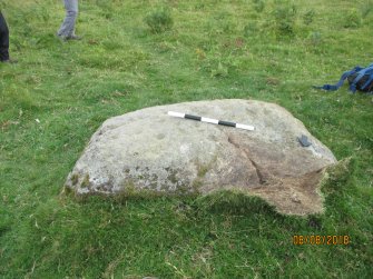 Digital photograph of panel to south, Scotland's Rock Art Project, Strath Sgitheach Balnacrae Lower, Highland