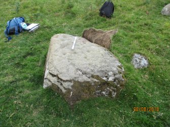 Digital photograph of panel to west, Scotland's Rock Art Project, Strath Sgitheach Balnacrae Lower, Highland