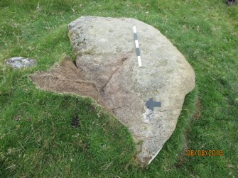 Digital photograph of panel, Scotland's Rock Art Project, Strath Sgitheach Balnacrae Lower, Highland