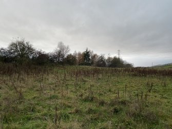 The Antonine Wall, Carleith Farm, Geophysical Survey