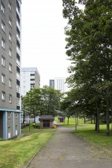 Seaton House. View from south with Donview House and Aulton Court behind. 