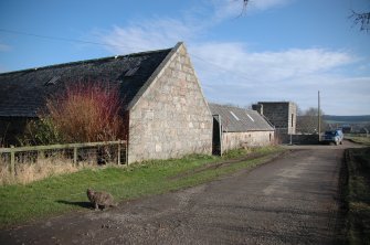 Survey photograph of Steading Buildings 16 and 17, S walls, looking E, doocot in background, Blairs College and Estate