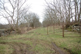 Survey photograph Gazetteer No. 20, details of field gates and dykes on main E/W stock road, Blairs College and Estate 