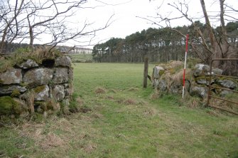 Survey photograph Gazetteer No. 20, details of field gates and dykes on main E/W stock road, Blairs College and Estate 