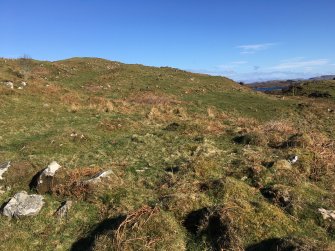 View of the larger enclosure from S