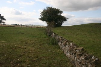 View showing the revetment wall of the former shelter belt enclosing the base of the barrow on the S.