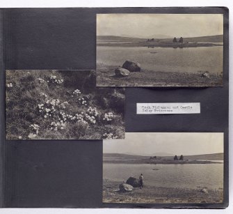 Violet Banks Photograph Album - Islay - Page 1 - Loch Finlaggan and Castle; Islay Primroses