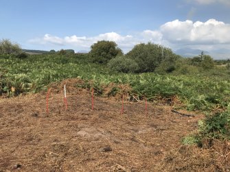 Torbeg Cursus, Geophysical Survey