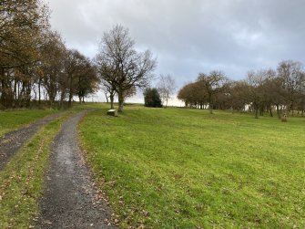 The Antonine Wall, Seabegs Wood, Geophysical Survey