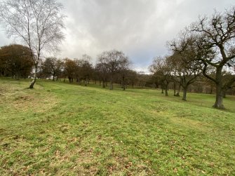 The Antonine Wall, Seabegs Wood, Geophysical Survey