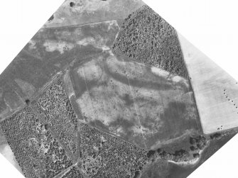 Rectified aerial photograph