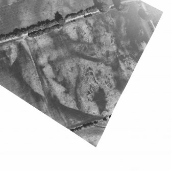 Rectified aerial photograph