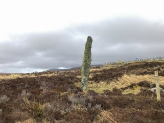 Field survey photograph