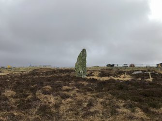 Field survey photograph