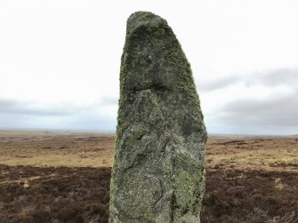 Field survey photograph