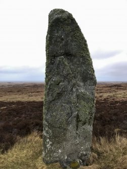 Field survey photograph