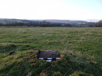 Digital photograph of panel to west, from Scotland's Rock Art project, Hill of Avochie, 3, Perth And Kinross