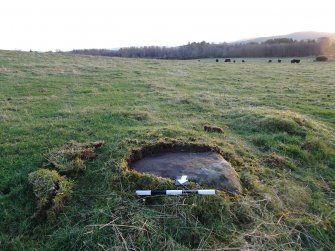 Digital photograph of panel to south, from Scotland's Rock Art project, Hill of Avochie, 3, Perth And Kinross