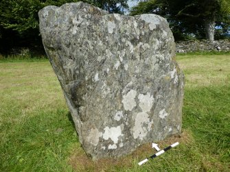 Digital photograph of panel, from Scotland's Rock Art project, Kinnell Park Stone Circle, Killin, Stone 3, Stirling




