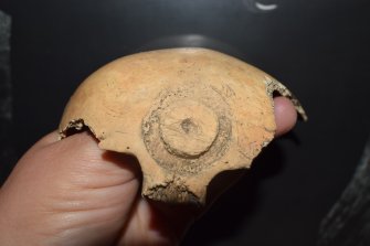 Post-excavation photograph, Bone fragment, Canal Street, Aberdeen, Aberdeenshire