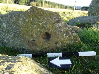 Digital photograph of perpendicular to carved surface(s), from Scotland's Rock Art project, Thorax, 2, Aberdeenshire
