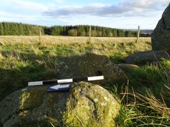 Digital photograph of panel to east, from Scotland's Rock Art project, Thorax, 2, Aberdeenshire


