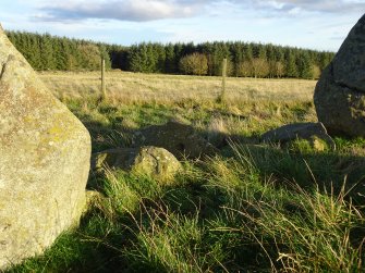 Digital photograph of panel in context with scale, from Scotland's Rock Art project, Thorax, 2, Aberdeenshire



