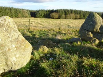 Digital photograph of panel in context with scale, from Scotland's Rock Art project, Thorax, 2, Aberdeenshire



