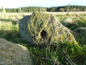 Digital photograph of panel before cleaning, from Scotland's Rock Art project, Thorax, 2, Aberdeenshire



