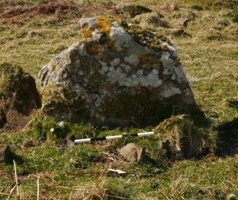 Digital photograph of panel to west, from Scotland's Rock Art project, Bute, Little Dunagoil, Argyll And Bute
