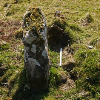 Digital photograph of panel to south, from Scotland's Rock Art project, Bute, Little Dunagoil, Argyll And Bute
