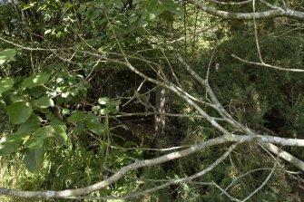 View of Pyrites Crusher remains in thick deciduous woodland