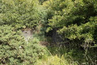 View from south of remains of Pyrites Crusher in dense undergrowth