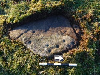 Digital photograph of perpendicular to carved surface(s), from Scotland's Rock Art project, Hill Of Avochie, 2, Aberdeenshire
