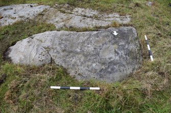 Digital photograph of panel to south, from Scotland's Rock Art project, Midton, 1, Highland