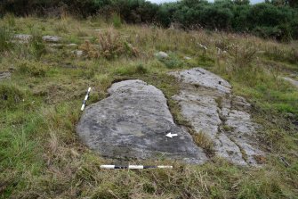 Digital photograph of panel in context with scale, from Scotland's Rock Art project, Midton, 1, Highland