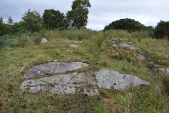 Digital photograph of panel in context with scale, from Scotland's Rock Art project, Midton, 1, Highland